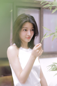 李小龙传奇电视剧